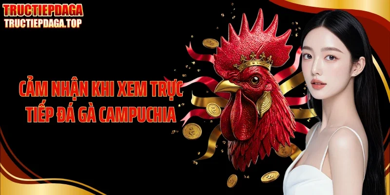 Cảm nhận khi xem trực tiếp đá gà Campuchia