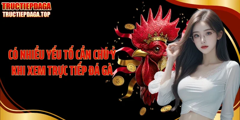Có nhiều yếu tố cần chú ý khi xem trực tiếp đá gà