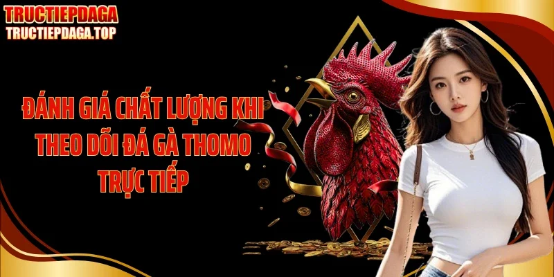 danh gia chat luong khi theo doi da ga thomo truc tiep Đánh giá chất lượng khi theo dõi đá gà Thomo trực tiếp