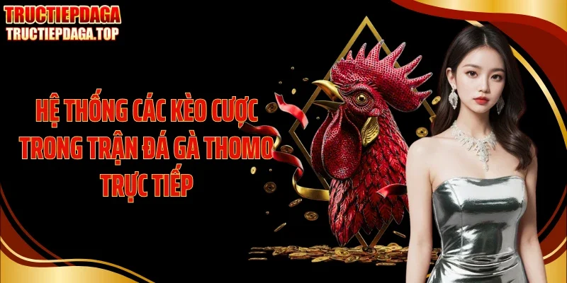 he thong cac keo cuoc trong tran da ga thomo truc tiep Hệ thống các kèo cược trong trận đá gà Thomo trực tiếp