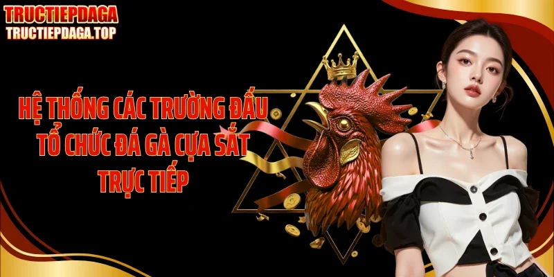 Hệ thống các trường đấu tổ chức đá gà cựa sắt trực tiếp