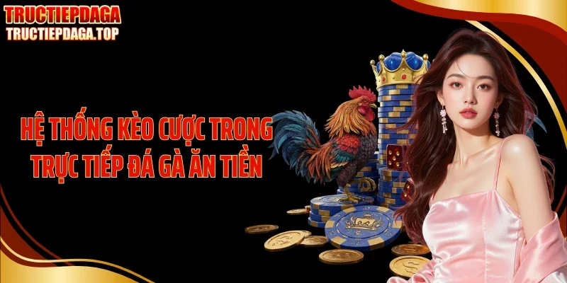 Hệ thống kèo cược trong trực tiếp đá gà ăn tiền