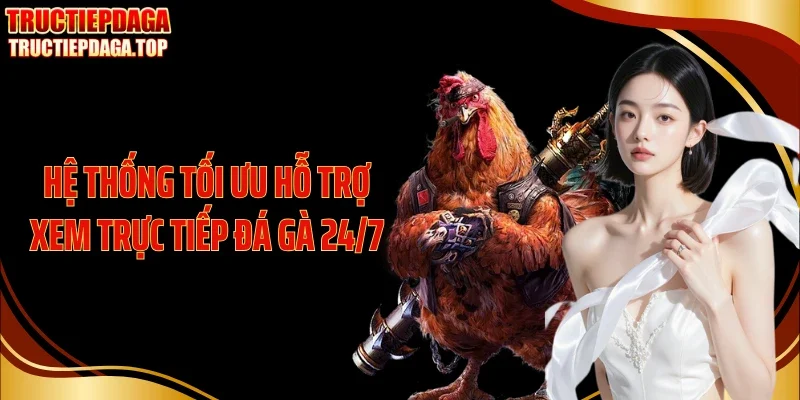 Hệ thống tối ưu hỗ trợ xem trực tiếp đá gà 24/7
