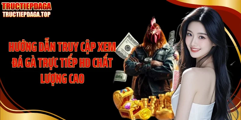 huong dan truy cap xem da ga truc tiep hd chat luong cao Hướng dẫn truy cập xem đá gà trực tiếp HD chất lượng cao