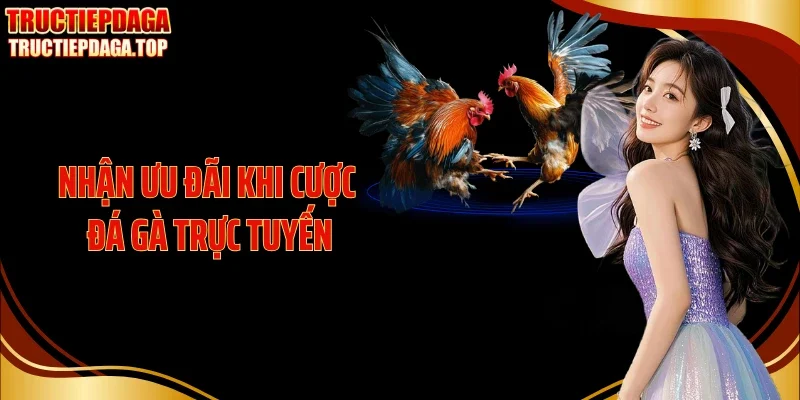 Nhận ưu đãi khi cược đá gà trực tuyến