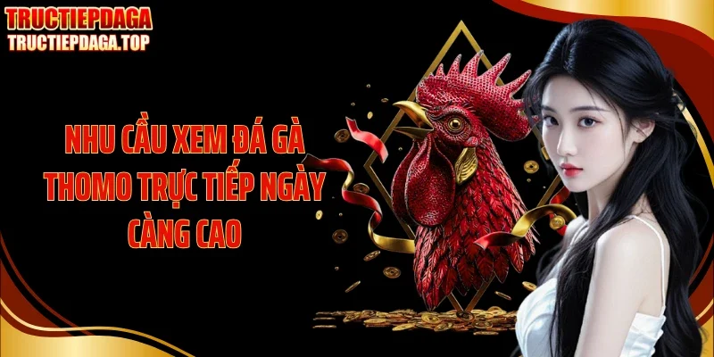 nhu cau xem da ga thomo truc tiep ngay cang cao Nhu cầu xem đá gà Thomo trực tiếp ngày càng cao