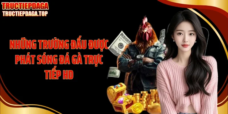 nhung truong dau duoc phat song da ga truc tiep hd Những trường đấu được phát sóng đá gà trực tiếp HD