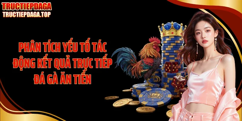 Phân tích yếu tố tác động kết quả trực tiếp đá gà ăn tiền