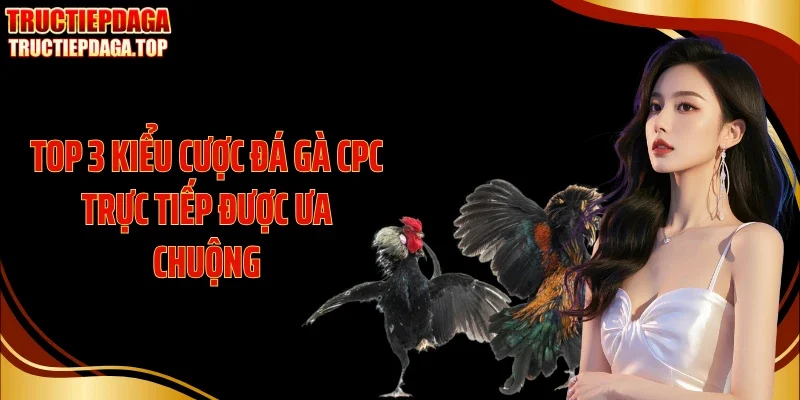 top 3 kieu cuoc da ga cpc truc tiep duoc ua chuong Top 3 kiểu cược đá gà CPC trực tiếp được ưa chuộng