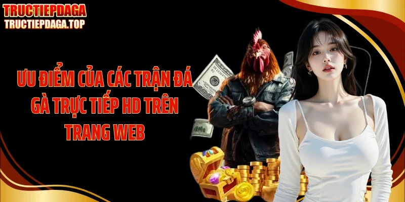 uu diem cua cac tran da ga truc tiep hd tren trang web Ưu điểm của các trận đá gà trực tiếp HD trên trang web