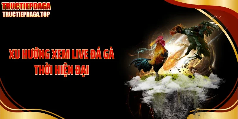 Xu hướng xem live đá gà thời hiện đại
