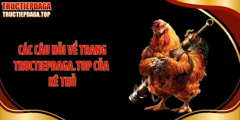 cac cau hoi ve trang tructiepdaga top cua ke thu Các câu hỏi về trang pollosexcelencia.com.mx của kê thủ