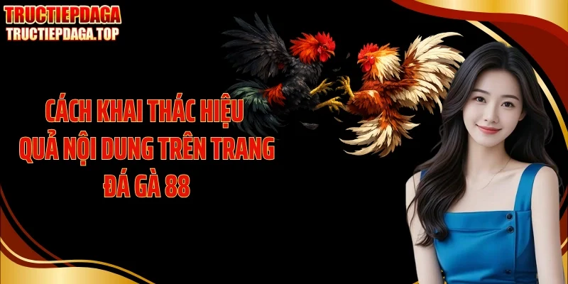 Cách khai thác hiệu quả nội dung trên trang đá gà 88