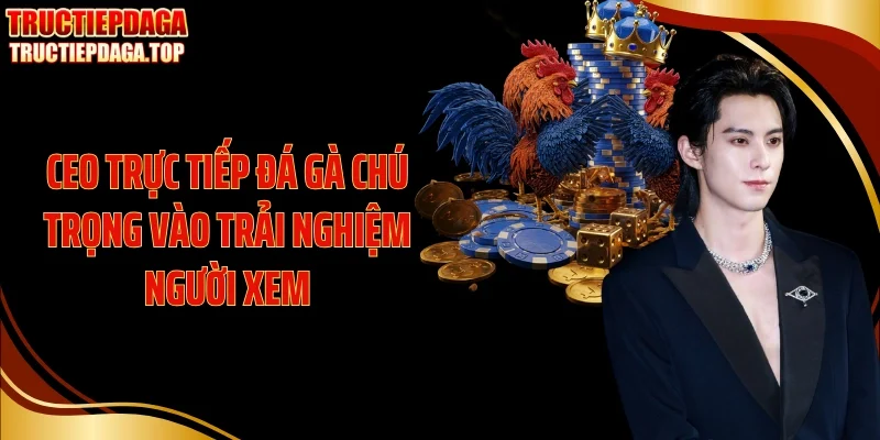 ceo truc tiep da ga chu trong vao trai nghiem nguoi xem CEO Trực tiếp đá gà chú trọng vào trải nghiệm người xem
