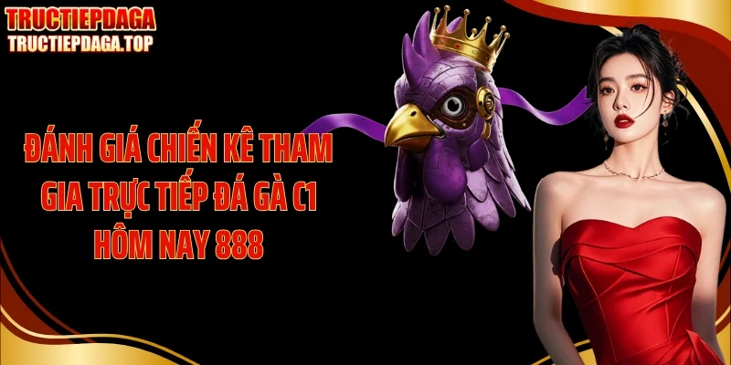 danh gia chien ke tham gia truc tiep da ga c1 hom nay 888 Đánh giá chiến kê tham gia trực tiếp đá gà C1 hôm nay 888