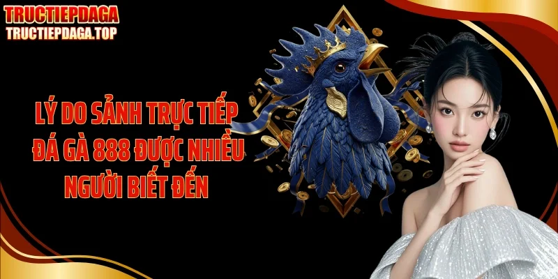 ly do sanh truc tiep da ga 888 duoc nhieu nguoi biet den Lý do sảnh Trực tiếp đá gà 888 được nhiều người biết đến