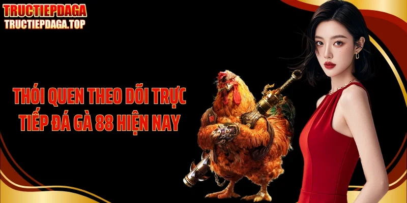 thoi quen theo doi truc tiep da ga 88 hien nay Thói quen theo dõi trực tiếp đá gà 88 hiện nay