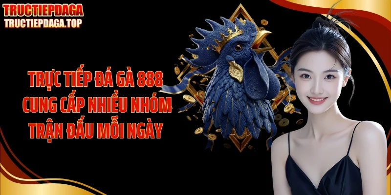 truc tiep da ga 888 cung cap nhieu nhom tran dau moi ngay Trực tiếp đá gà 888 cung cấp nhiều nhóm trận đấu mỗi ngày