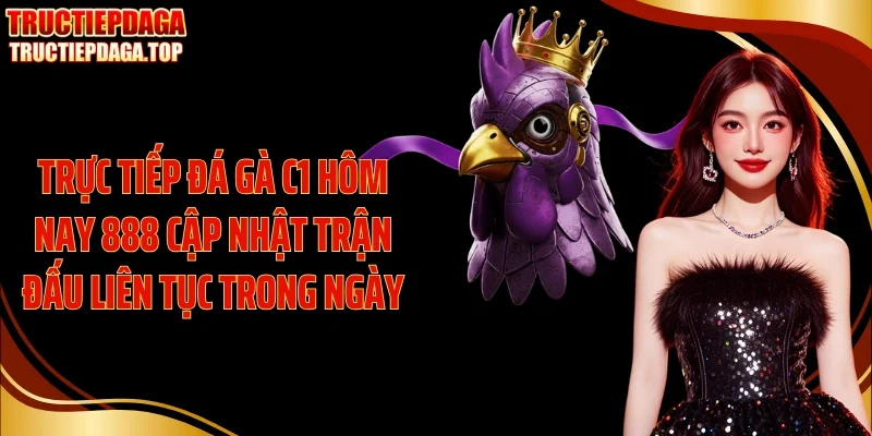 truc tiep da ga c1 hom nay 888 cap nhat tran dau lien tuc trong ngay Trực tiếp đá gà C1 hôm nay 888 cập nhật trận đấu liên tục trong ngày
