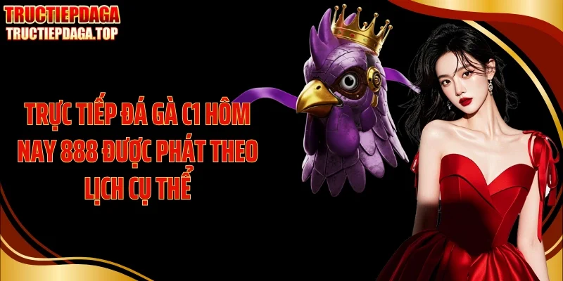truc tiep da ga c1 hom nay 888 duoc phat theo lich cu the Trực tiếp đá gà C1 hôm nay 888 được phát theo lịch cụ thể