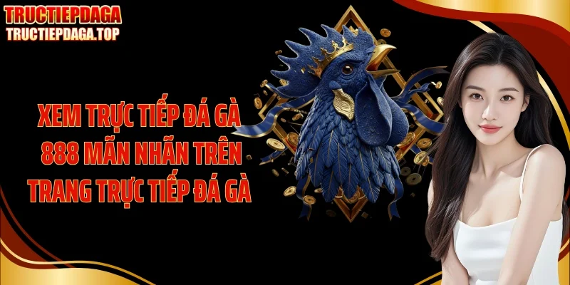 xem truc tiep da ga 888 man nhan tren trang truc tiep da ga Xem Trực tiếp đá gà 888 mãn nhãn trên trang trực tiếp đá gà