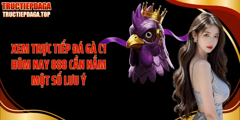 xem truc tiep da ga c1 hom nay 888 can nam mot so luu y Xem trực tiếp đá gà C1 hôm nay 888 cần nắm một số lưu ý