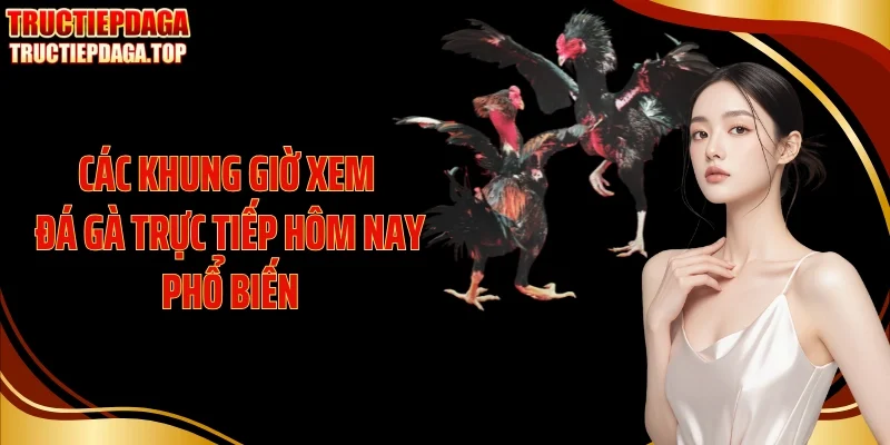 cac khung gio xem da ga truc tiep hom nay pho bien Các khung giờ xem đá gà trực tiếp hôm nay phổ biến