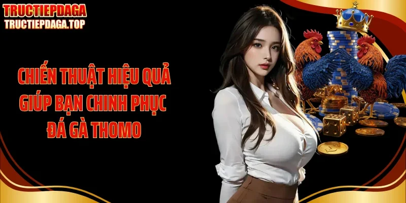 Chiến thuật hiệu quả giúp bạn chinh phục đá gà Thomo