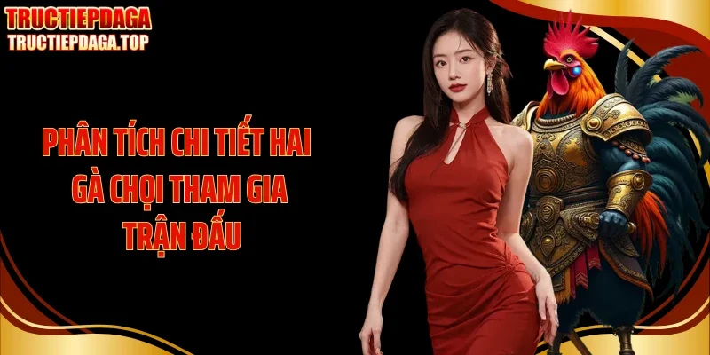 Phân tích chi tiết hai gà chọi tham gia trận đấu